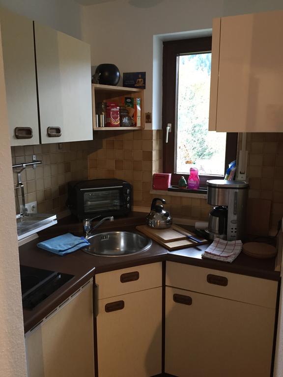 Apartment Rose Тодтмос Экстерьер фото